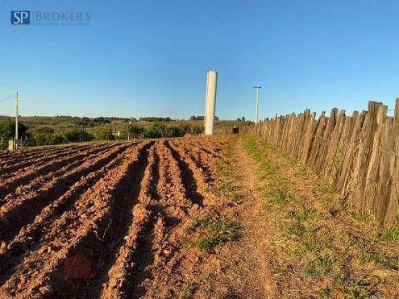 Fazenda à Venda 1 m² em Reforma Agrária Valinhos Imóvel Guide