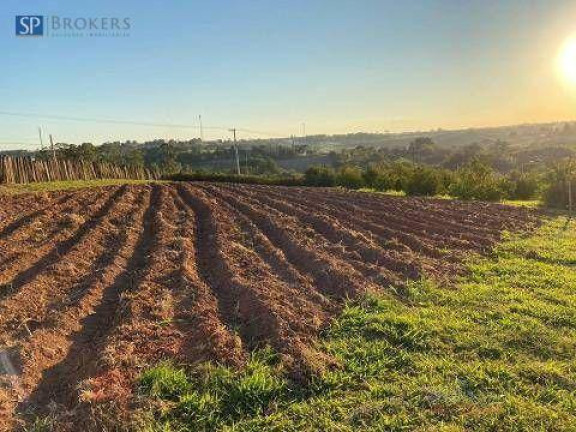 Fazenda à Venda 1 m² em Reforma Agrária Valinhos Imóvel Guide