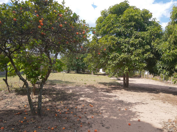 Imagem Chácara com 2 Quartos à Venda,  em Residencial Big Valley - Cajuru