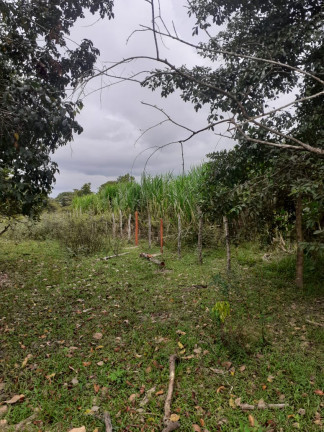 Imagem Fazenda à Venda,  em zona rural - Salvaterra