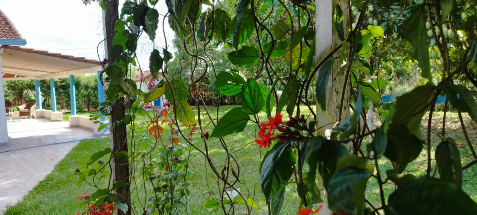 Foto do imóvel: Chácara com 4 Quartos à Venda, 440 m² em  - Sarapuí