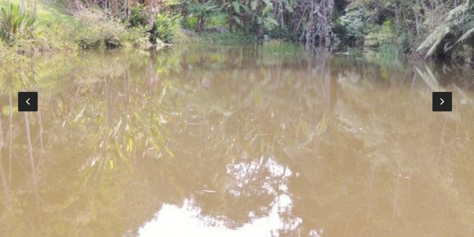 Imagem Chácara com 8 Quartos à Venda,  em Centro - Santa Isabel