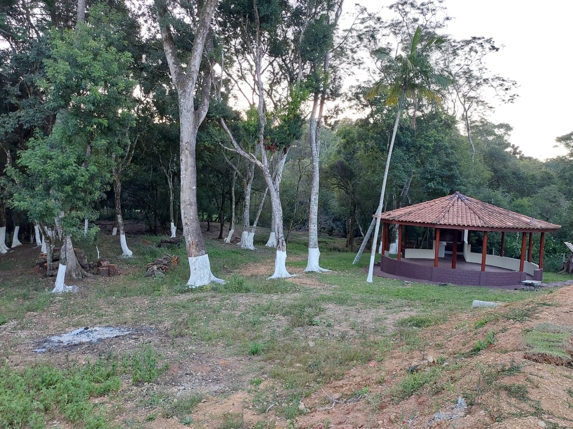 Imagem Chácara com 2 Quartos à Venda, 14.000 m²em Capelinha de São Pedro  - Ribeirão Branco