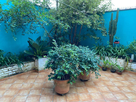 Imagem Casa com 3 Quartos à Venda, 174 m² em Jardim Umuarama - São Paulo