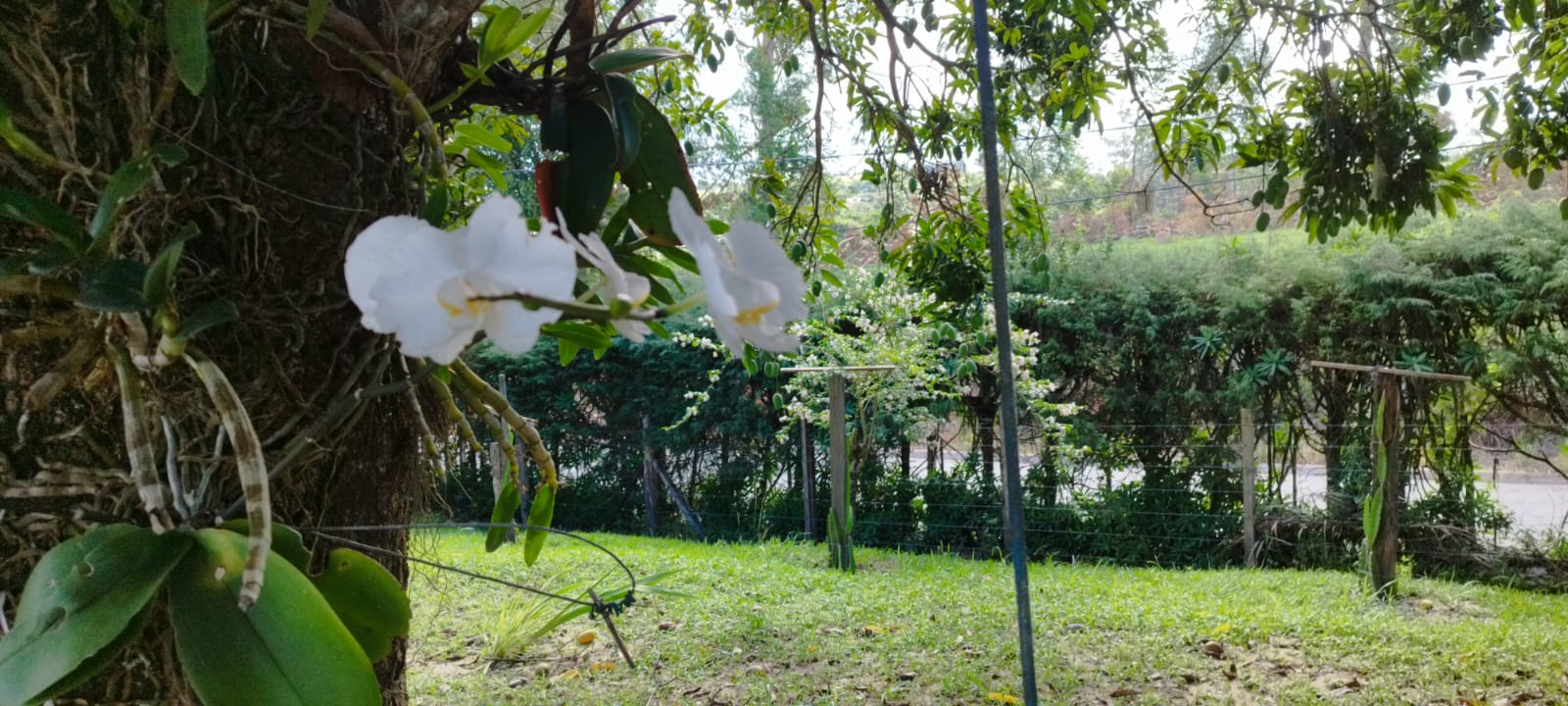 Foto do imóvel: Chácara com 4 Quartos à Venda, 440 m² em  - Sarapuí