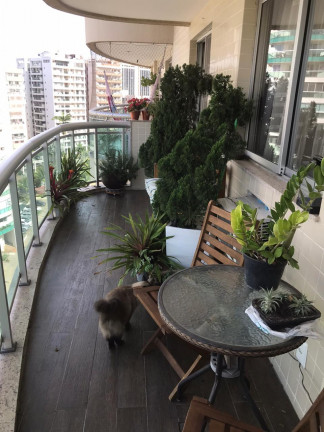Imagem Apartamento com 3 Quartos à Venda, 78 m² em Jacarepaguá - Rio de Janeiro