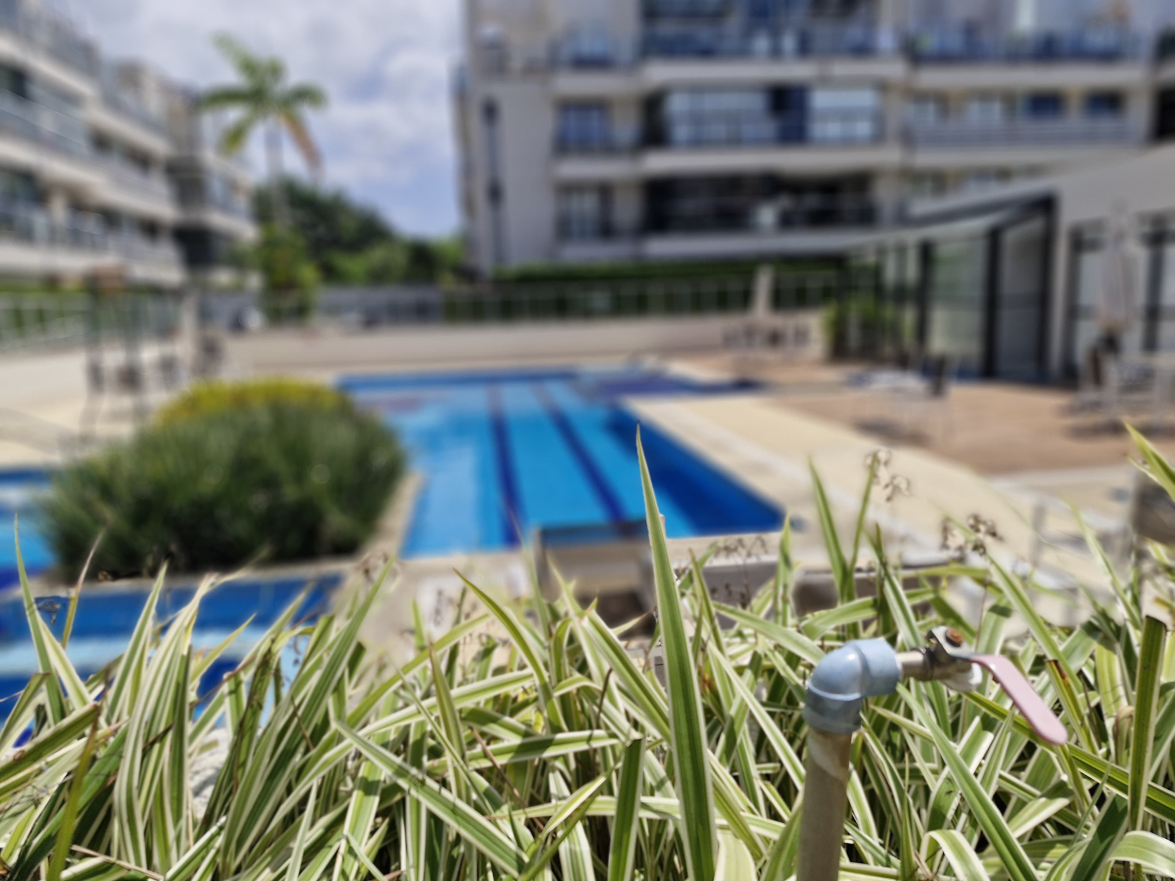Foto do imóvel: Apartamento com 3 Quartos à Venda ou Locação, 88 m² em Recreio dos Bandeirantes - Rio de Janeiro