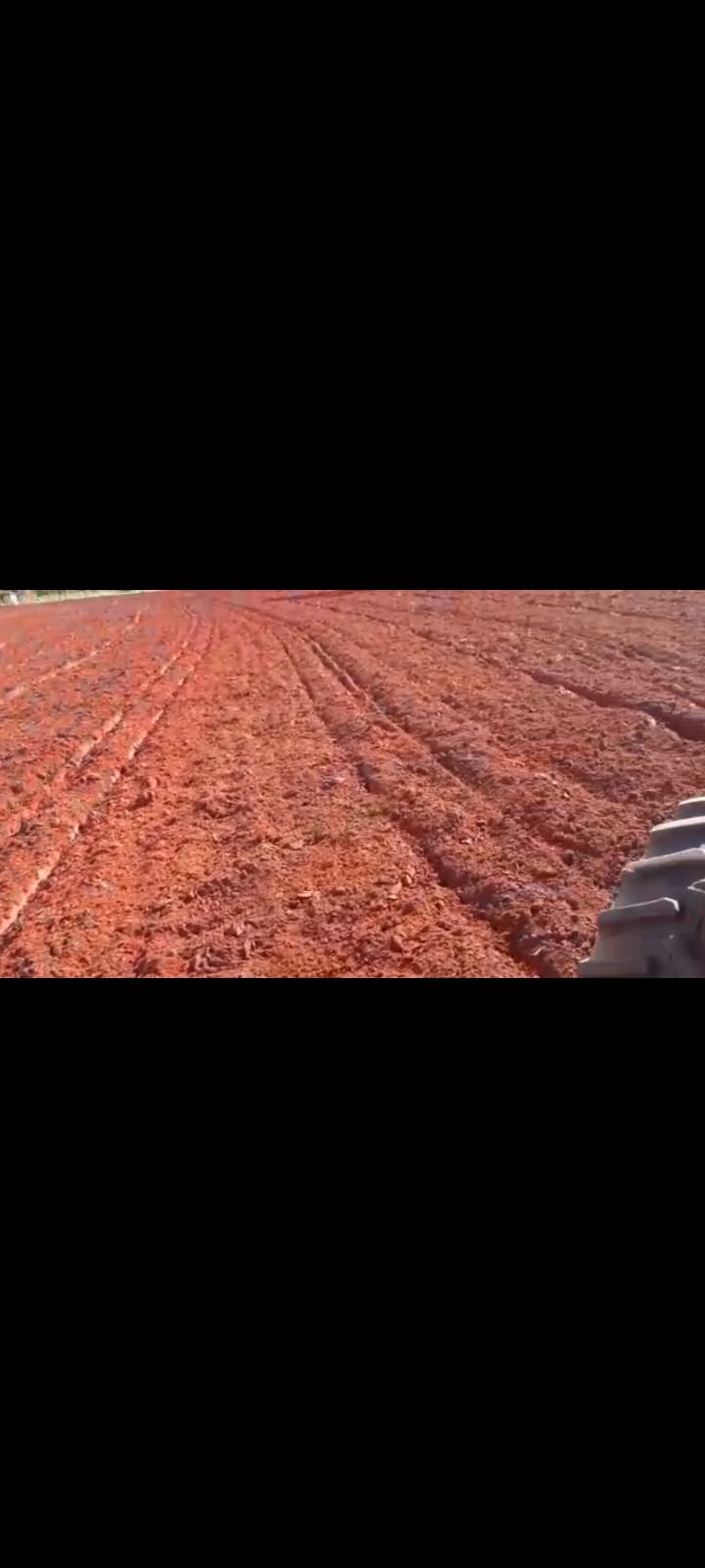 Imagem Fazenda à Venda, 1 HAem Zona Rural - Juscimeira