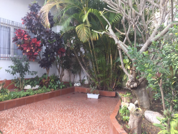 Imagem Casa com 4 Quartos à Venda, 400 m² em Vila Emir - São Paulo