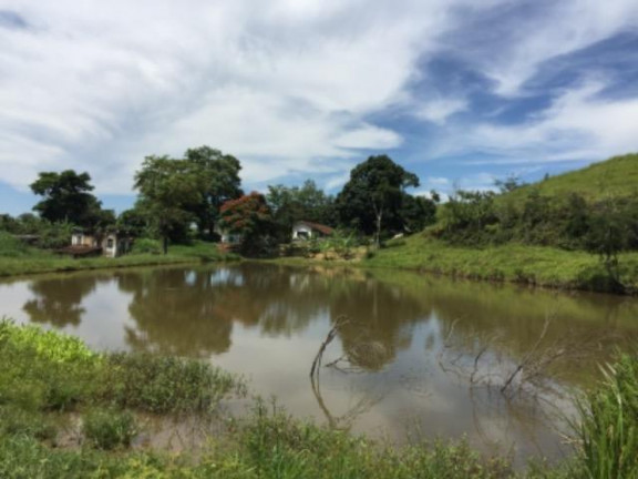 Imagem Fazenda à Venda, 20.000 m² em Vila Pontilhão - Cruzeiro