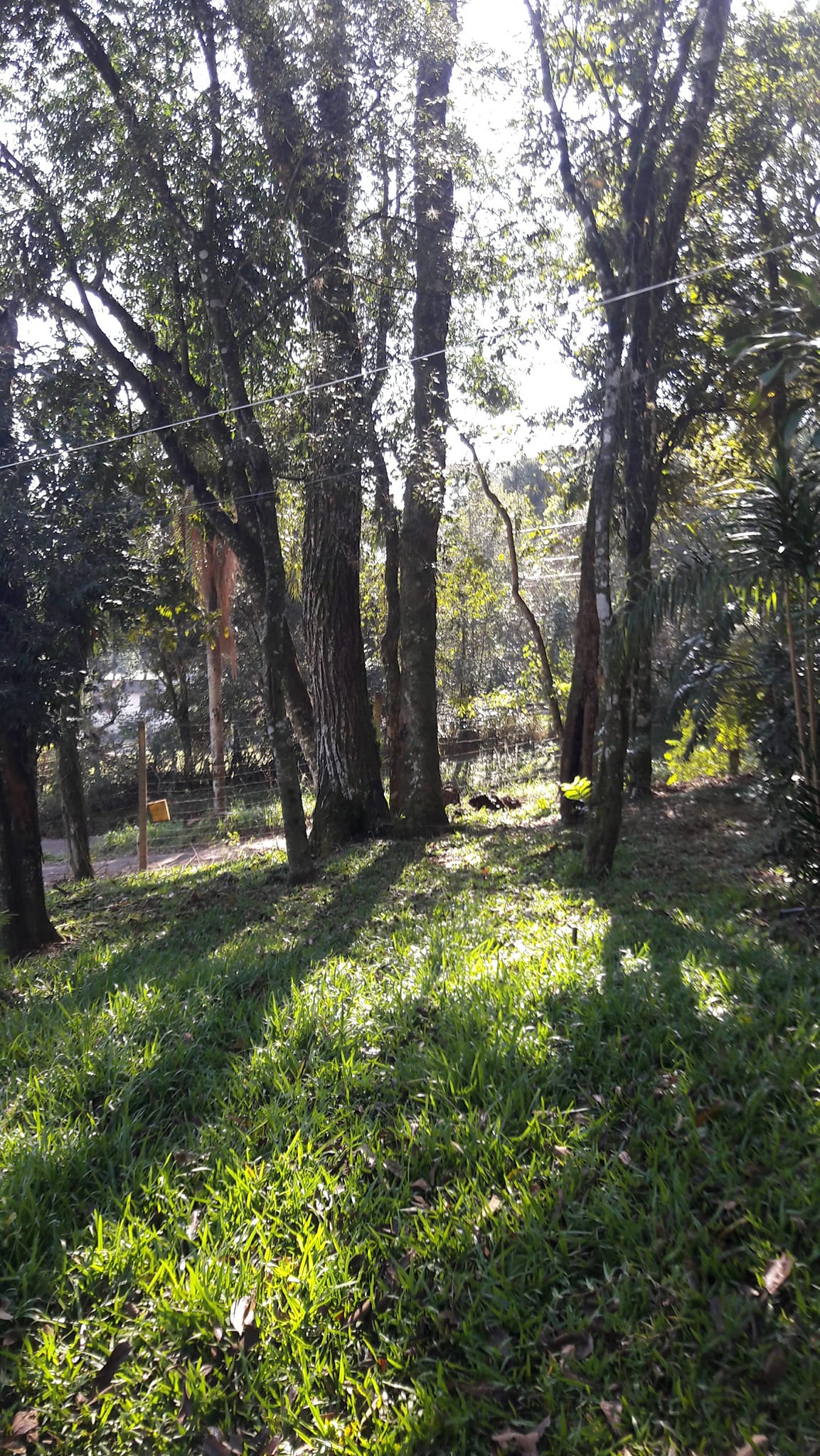 Imagem Terreno à Venda, 3 m²em Efapi - Chapecó