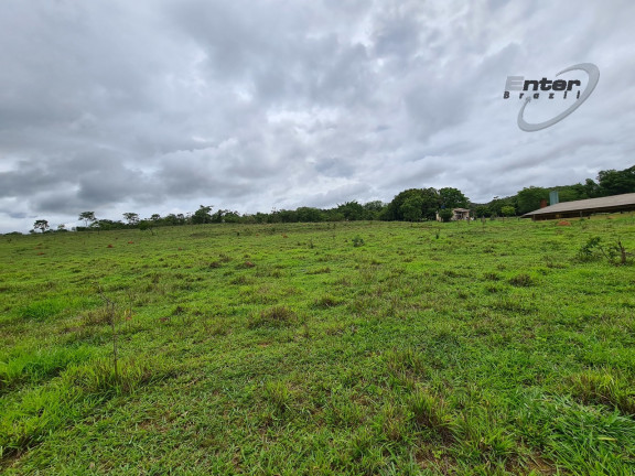 Imagem Fazenda à Venda, 24 HA em brazlandia - Brasília