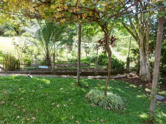 Imagem Chácara com 3 Quartos à Venda,  em Jardim Panorâmico - Ivoti
