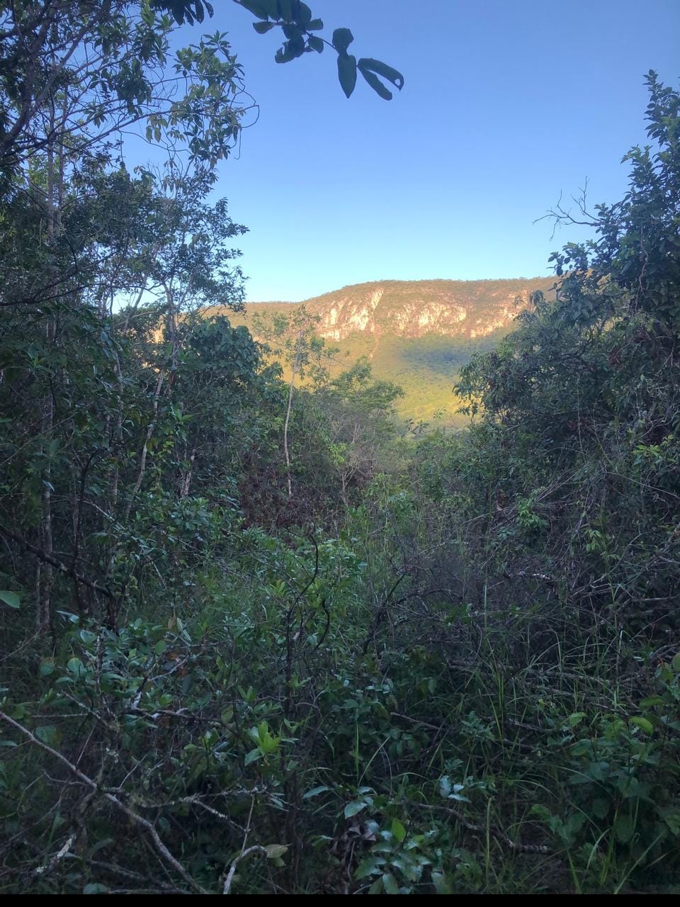 Imagem Chácara à Venda, 60 m²em Centro - Alto Paraíso de Goiás