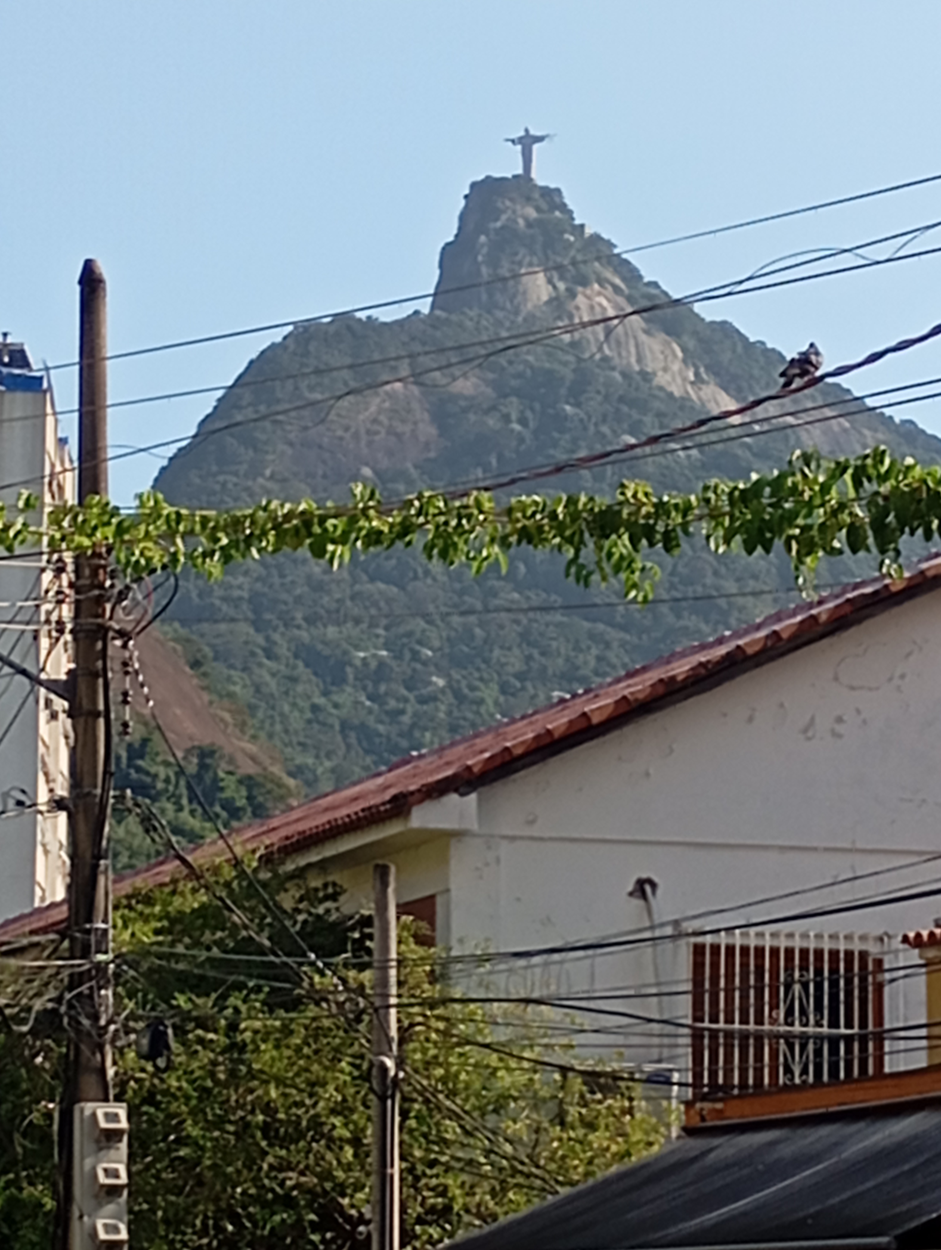Imagem Apartamento com 2 Quartos à Venda, 70 m²em Laranjeiras - Rio de Janeiro