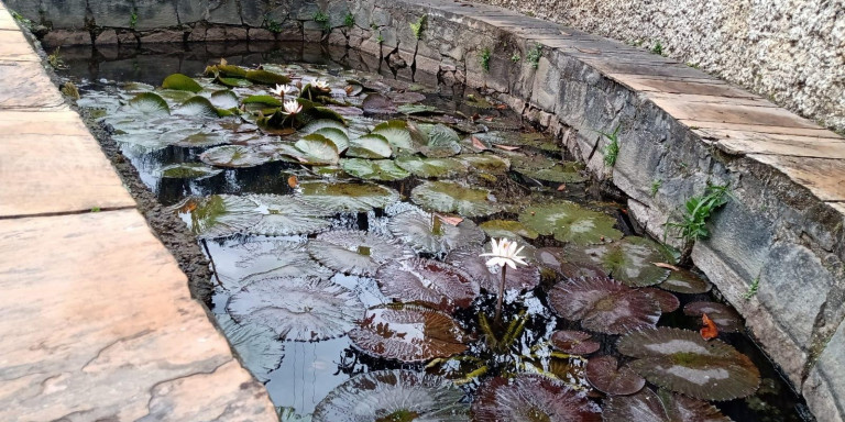 Imagem Chácara com 12 Quartos à Venda,  em Centro - Santa Isabel