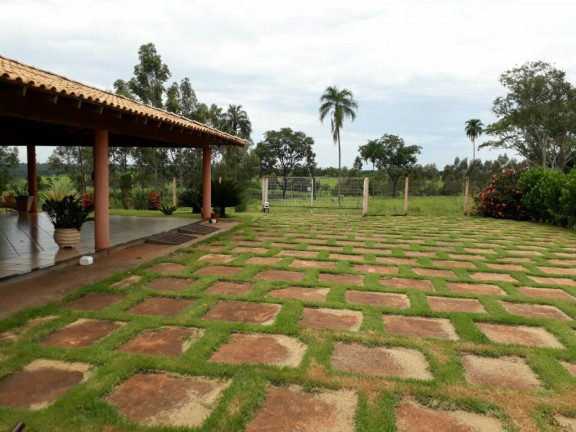 Imagem Chácara com 3 Quartos à Venda, 30.000 m² em São João - Votuporanga