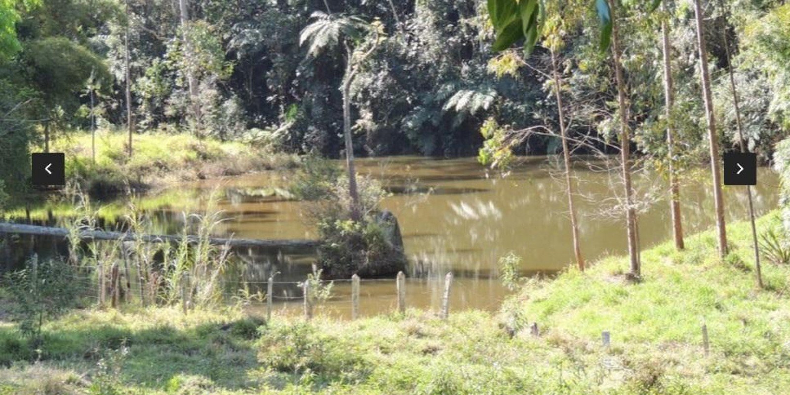 Imagem Chácara com 8 Quartos à Venda,  em Centro - Santa Isabel