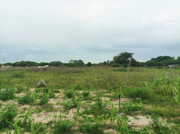 Imagem Terreno à Venda, 16.000 m²em Jardim Santa Helena - Macaíba