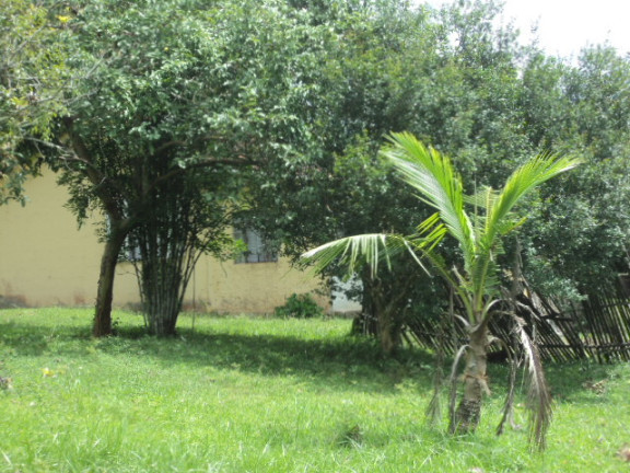 Imagem Fazenda à Venda,  em Serrote - Registro