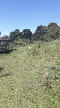 Foto do imóvel: Chácara à Venda, 6.000 m² em DIAMANTE - Mandirituba