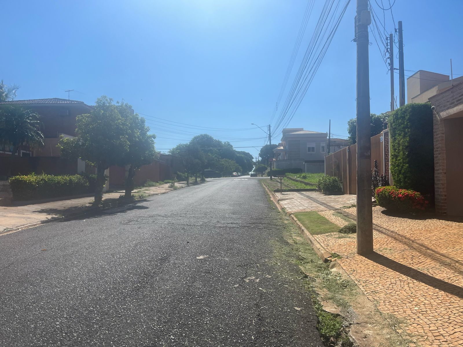 Foto do imóvel: Terreno à Venda, 350 metro em Vila Ana Maria - Ribeirão Preto