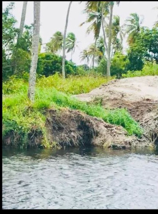 Imagem Fazenda à Venda, 212 HAem Centro - Pureza