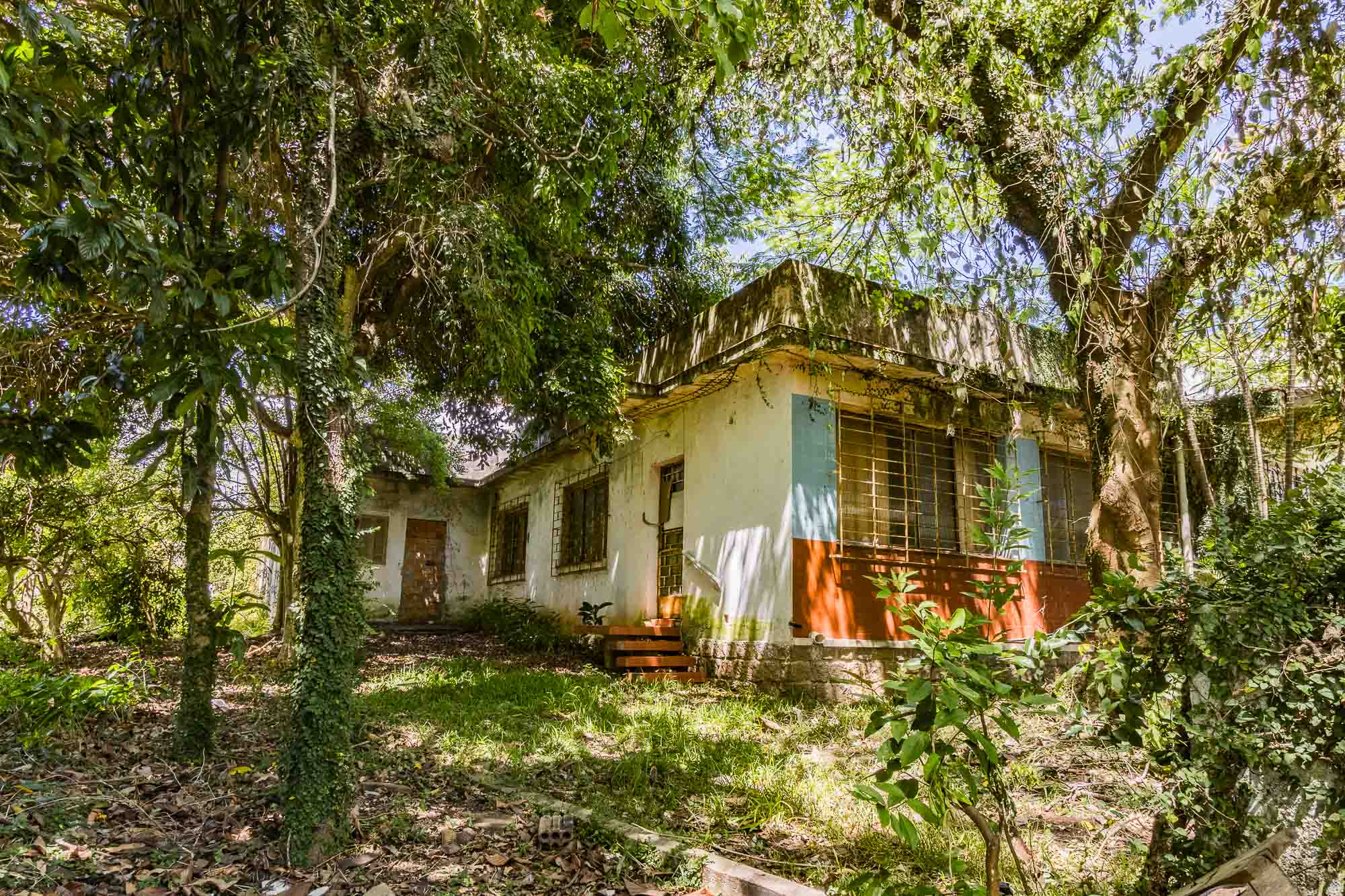 Foto do imóvel: Terreno à Venda, 705 m² em Vila Ipiranga - Porto Alegre