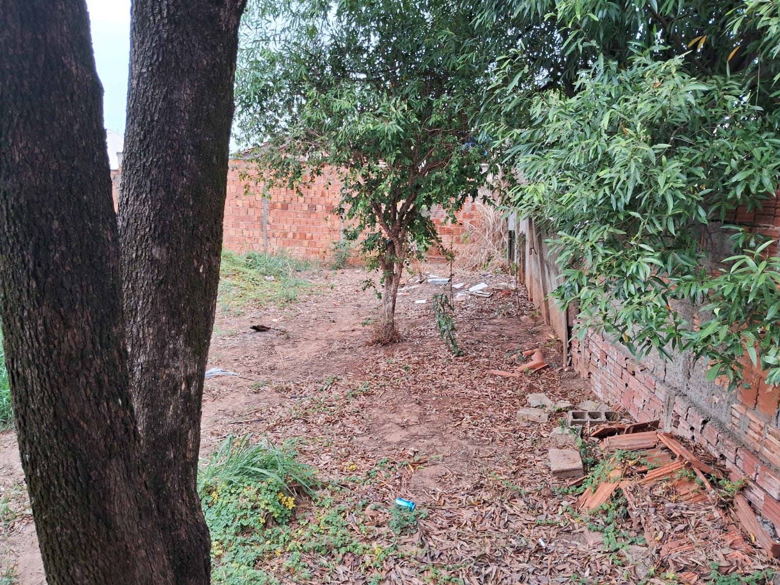 Foto do imóvel: Casa com 4 Quartos à Venda, 192 m² em Parque Vista Alegre - Bauru