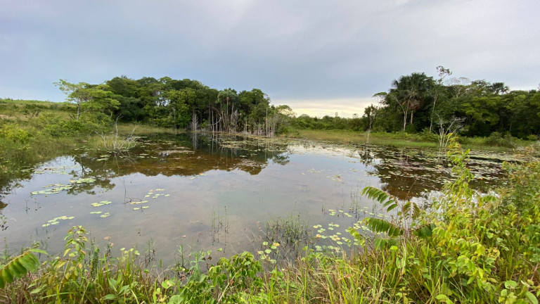 Imagem Fazenda à Venda, 455 HA em zona Rural - Santarém Novo