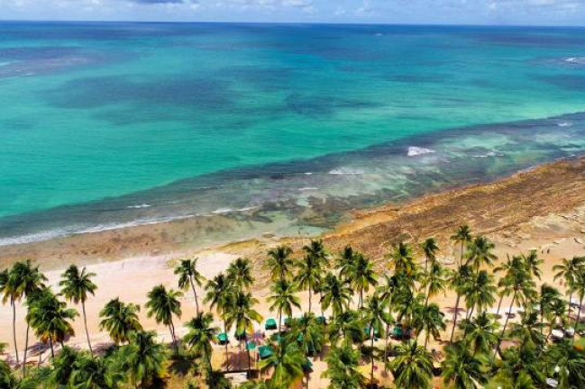 Imagem Casa de Condomínio com 3 Quartos à Venda,  em Praia dos Carneiros - Tamandaré