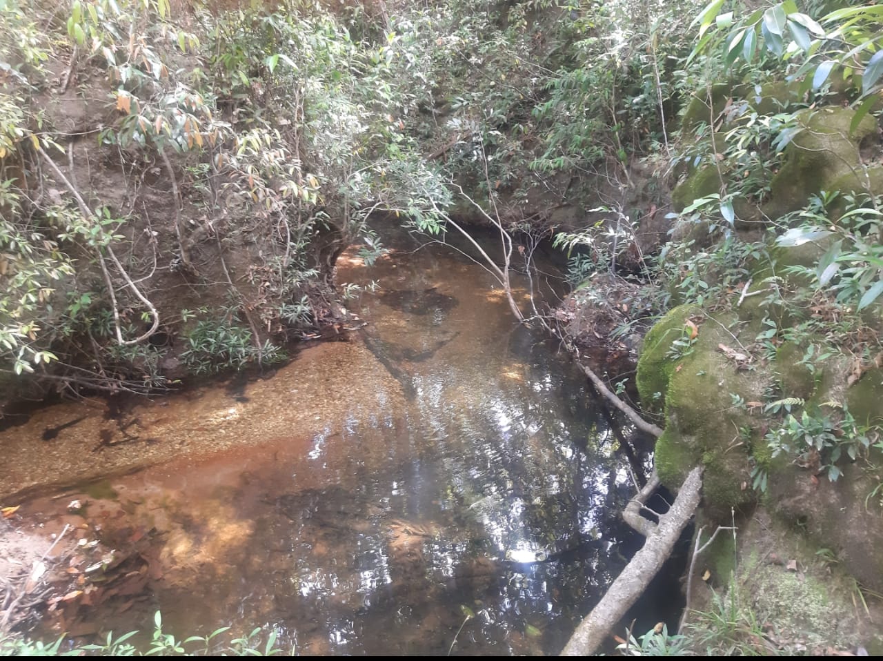 Imagem Fazenda à Venda, 5 HAem Centro - Alto Paraíso de Goiás