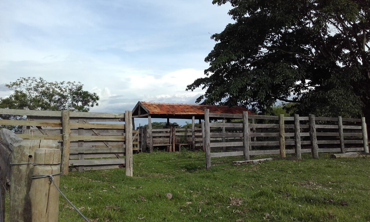 Foto do imóvel: Fazenda à Venda, 74 Alq. SP em Área Rural de Álvaro de Carvalho - Álvaro de Carvalho