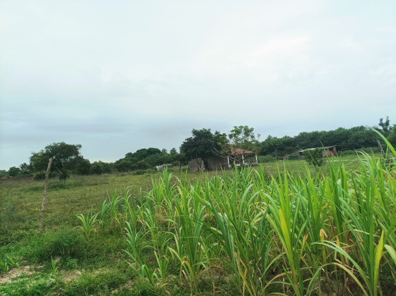 Imagem Terreno à Venda, 16.000 m²em Jardim Santa Helena - Macaíba