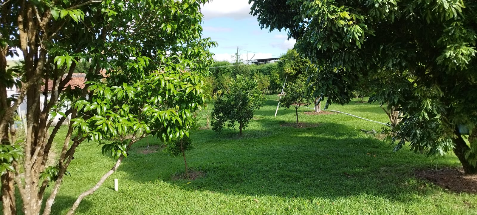 Foto do imóvel: Chácara com 4 Quartos à Venda, 440 m² em  - Sarapuí