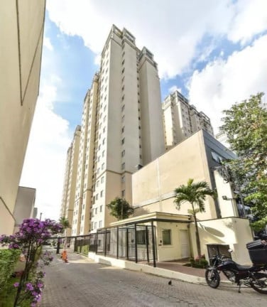 Imagem Apartamento com 3 Quartos à Venda, 65 m² em Nova Petrópolis - São Bernardo do Campo