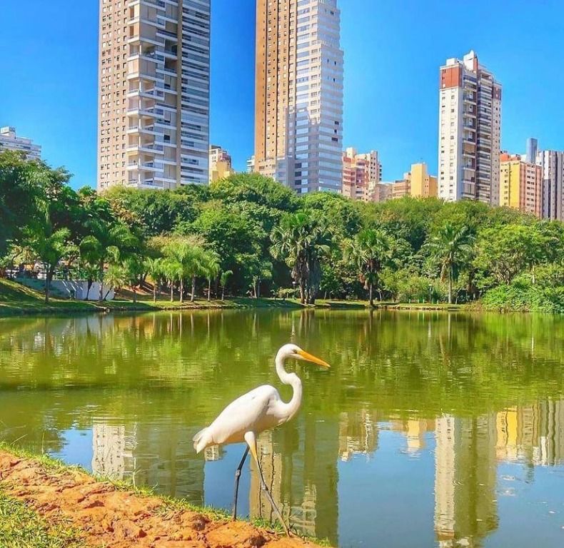 Apartamento com 2 Quartos à Venda, 68 m² em Setor Bueno - Goiânia