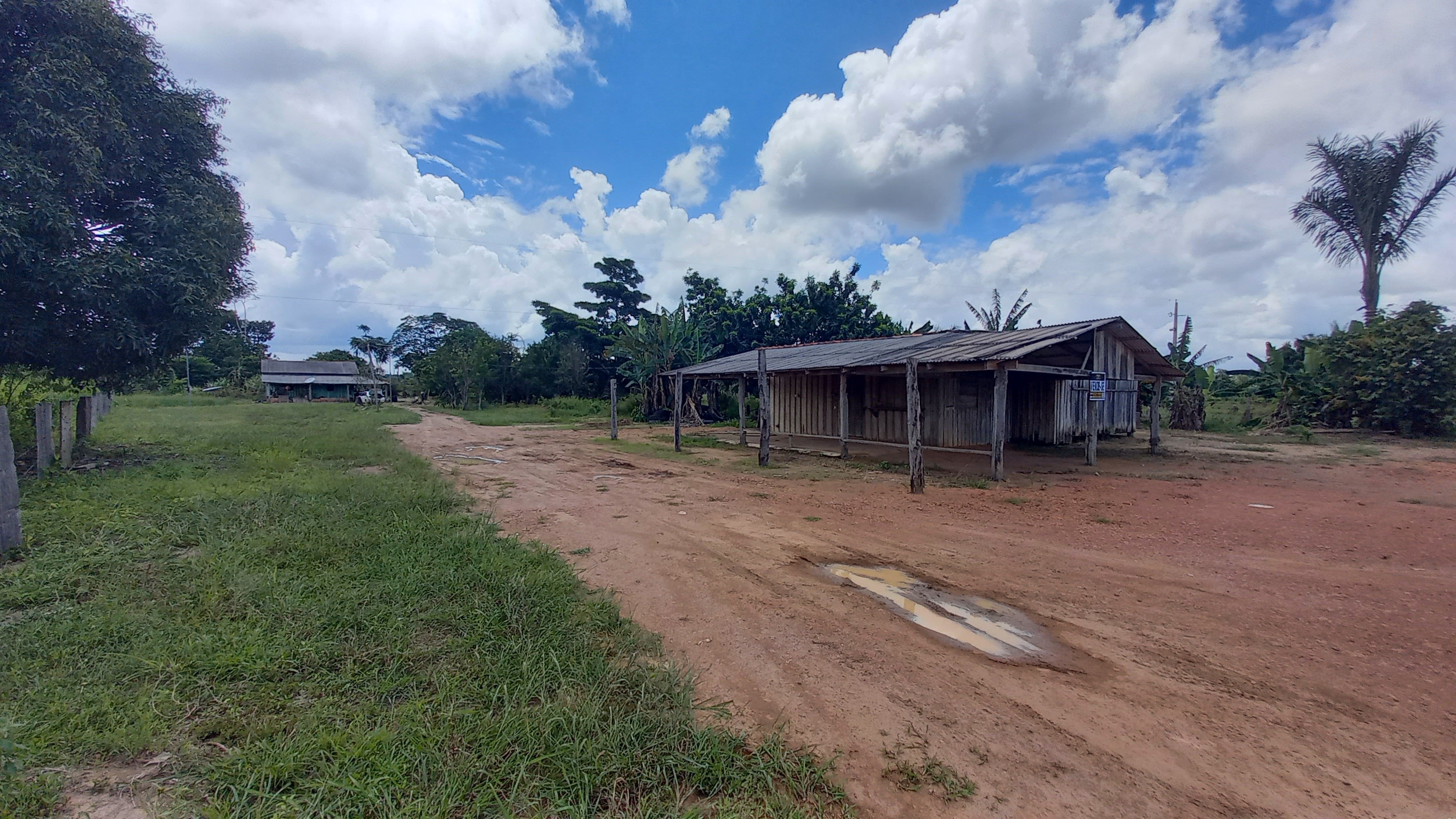 Imagem Fazenda à Venda, 29 HAem Zona Rural - Candeias do Jamari