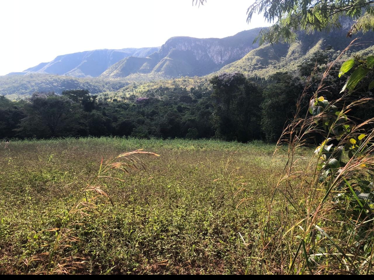 Imagem Chácara à Venda, 60 m²em Centro - Alto Paraíso de Goiás