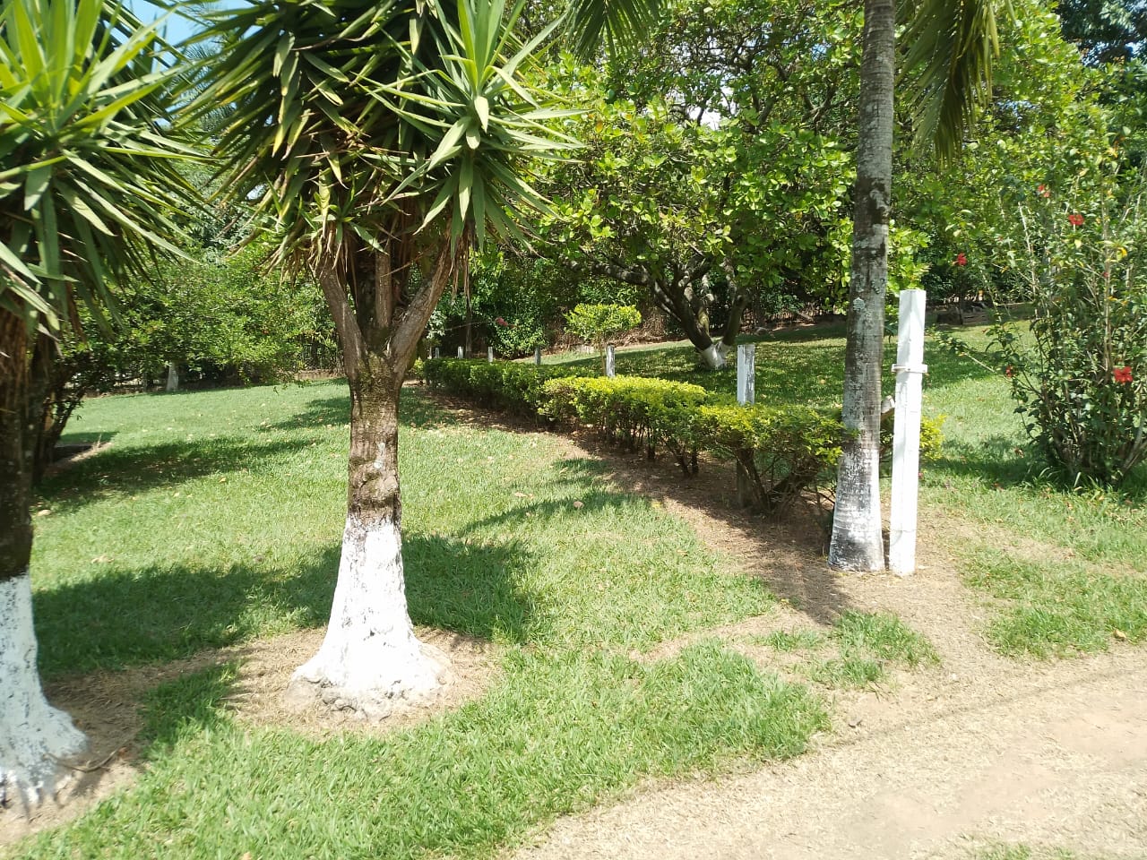 Imagem do anúncio