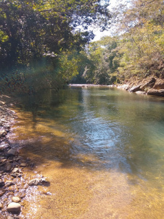 Imagem Fazenda à Venda,  em Área Rural - Mimoso de Goiás