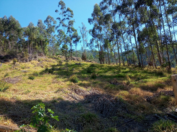 Imagem Chácara à Venda, 96.000 m² em KM 45 DA RODOVIA TAMOIOS  - Paraibuna