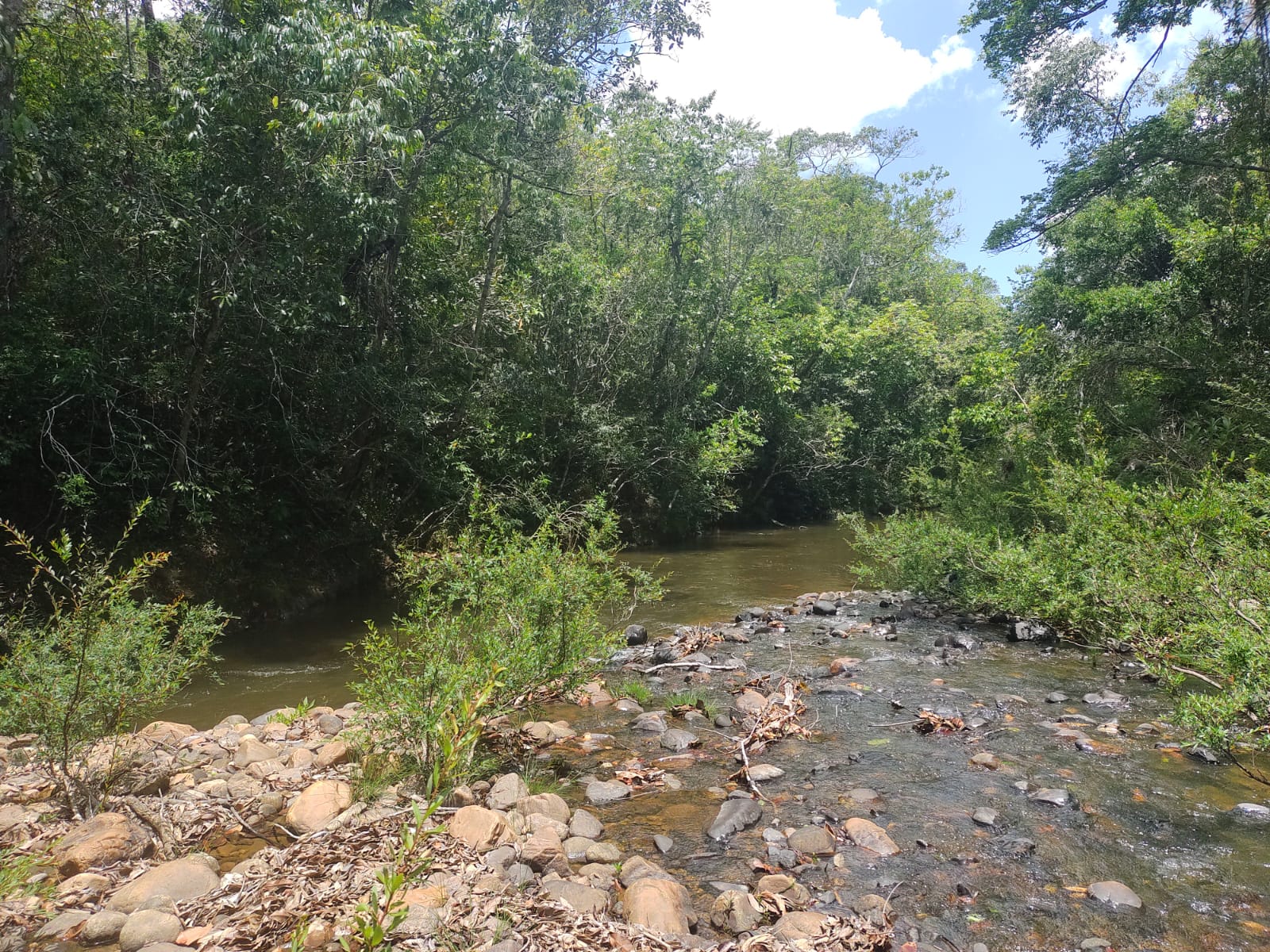 Imagem Fazenda à Venda, 6 HAem Moinho - Alto Paraíso de Goiás