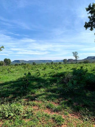 Imagem Fazenda à Venda, 911 HAem ZONA RURAL - Guiratinga