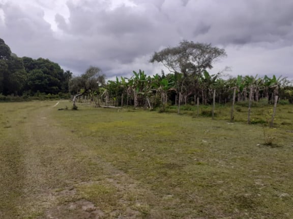 Imagem Fazenda à Venda,  em zona rural - Salvaterra