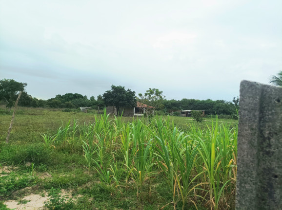 Imagem Terreno à Venda, 16.000 m²em Jardim Santa Helena - Macaíba