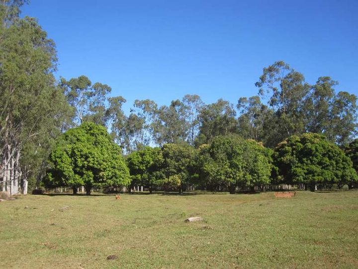 Imagem Fazenda à Venda, 1.864 m² em área Rural De Três Lagoas - Três Lagoas