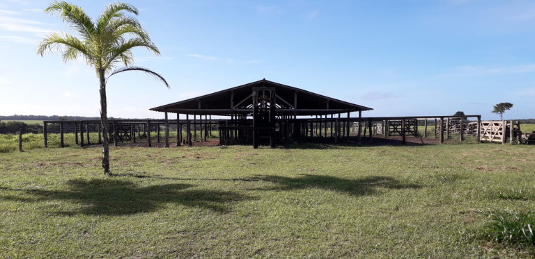 Imagem Fazenda à Venda, 455 HA em zona Rural - Santarém Novo