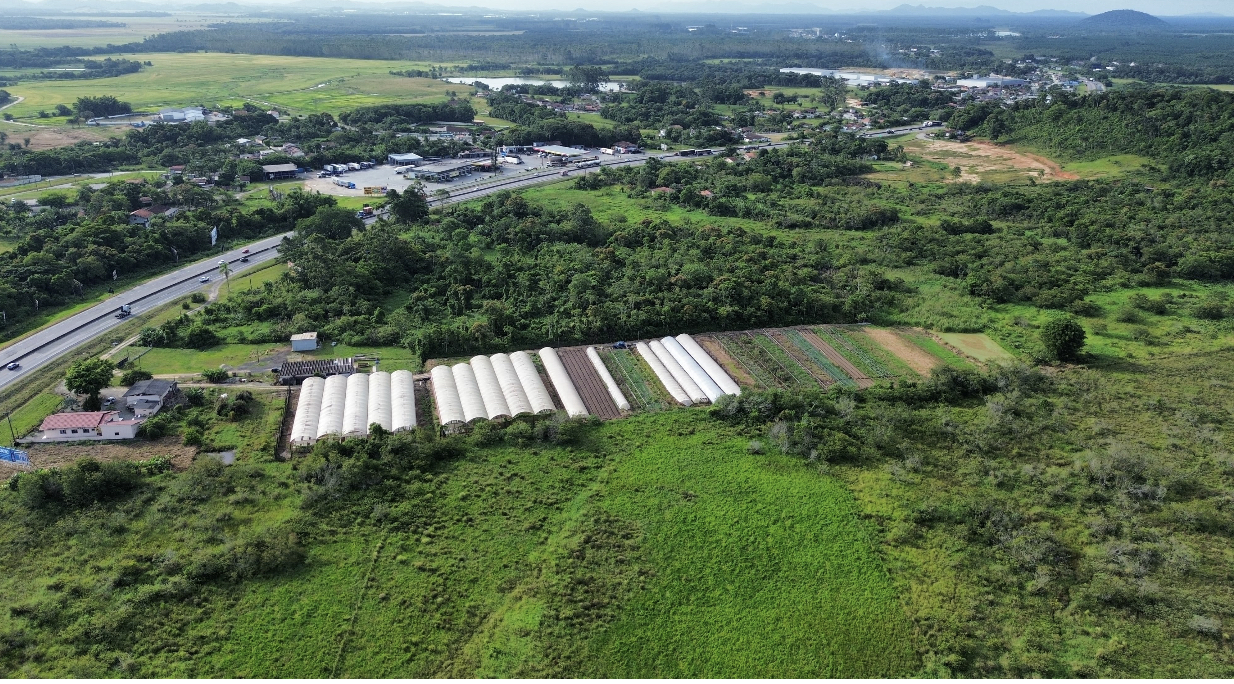 Foto do imóvel: Terreno à Venda, 50.000 m² em Corveta - Araquari