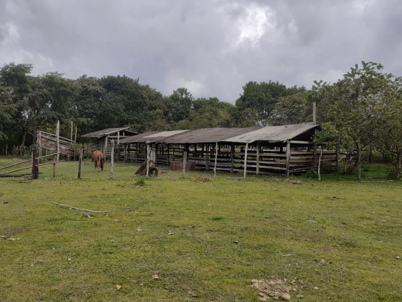 Imagem Fazenda à Venda,  em zona rural - Salvaterra